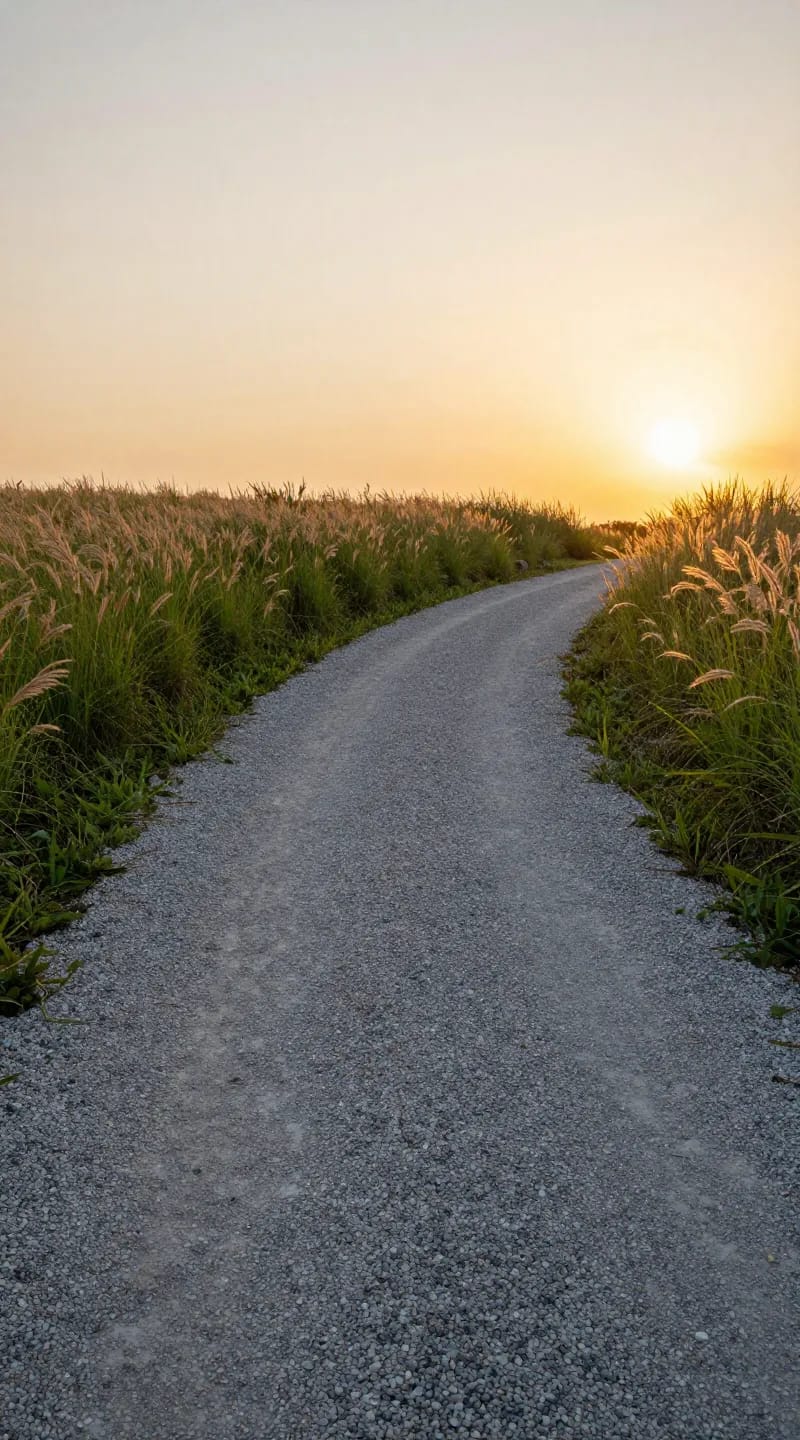 curved gravel path with prairie grasses at sunset, professional photo